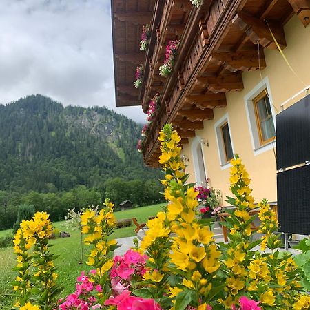 Alpen Appartements Oberlehengut ヴェルフェンヴェンク エクステリア 写真