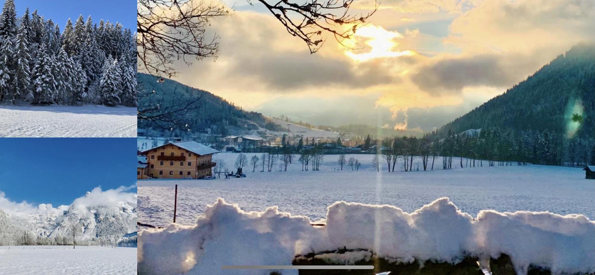 Alpen Appartements Oberlehengut ヴェルフェンヴェンク エクステリア 写真