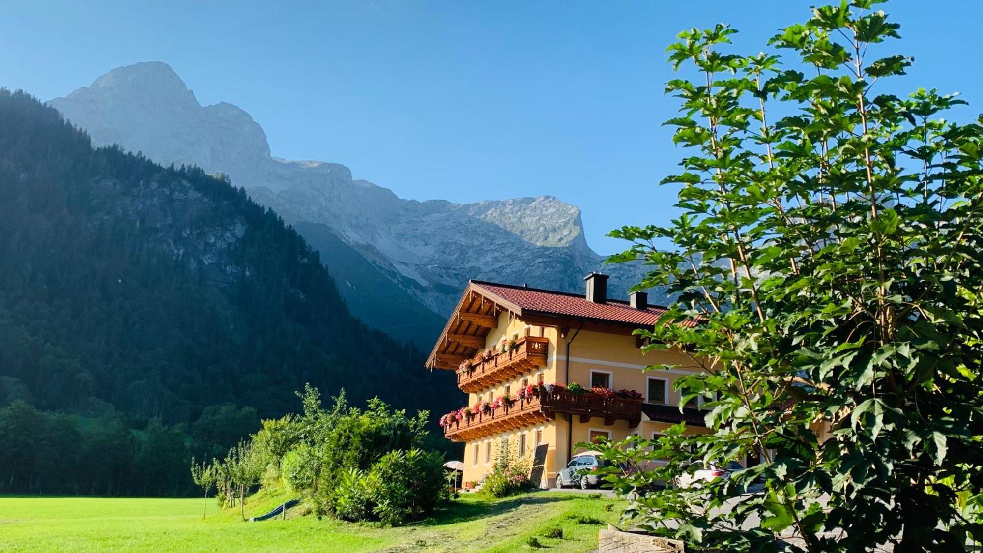Alpen Appartements Oberlehengut ヴェルフェンヴェンク エクステリア 写真