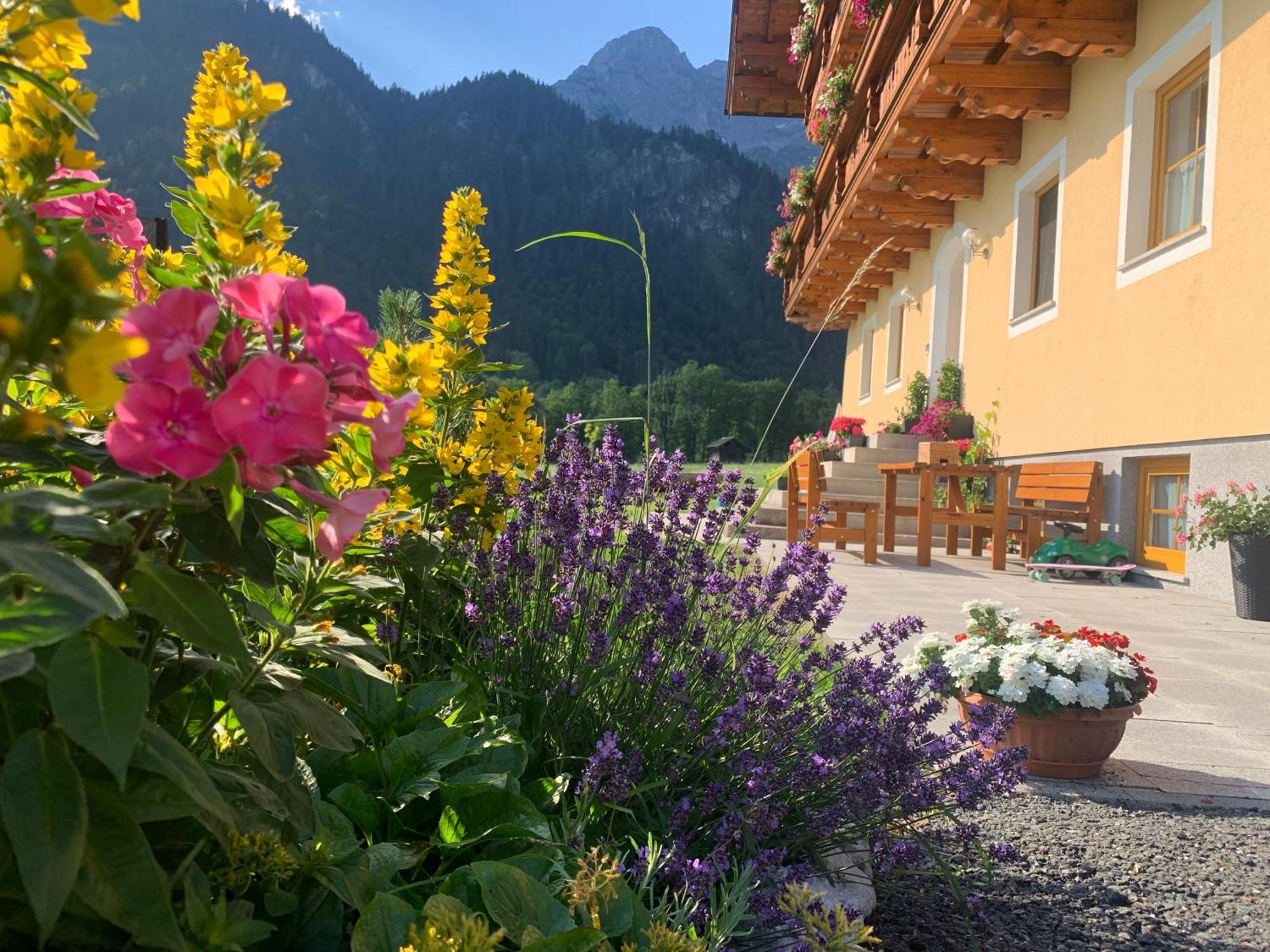 Alpen Appartements Oberlehengut ヴェルフェンヴェンク エクステリア 写真