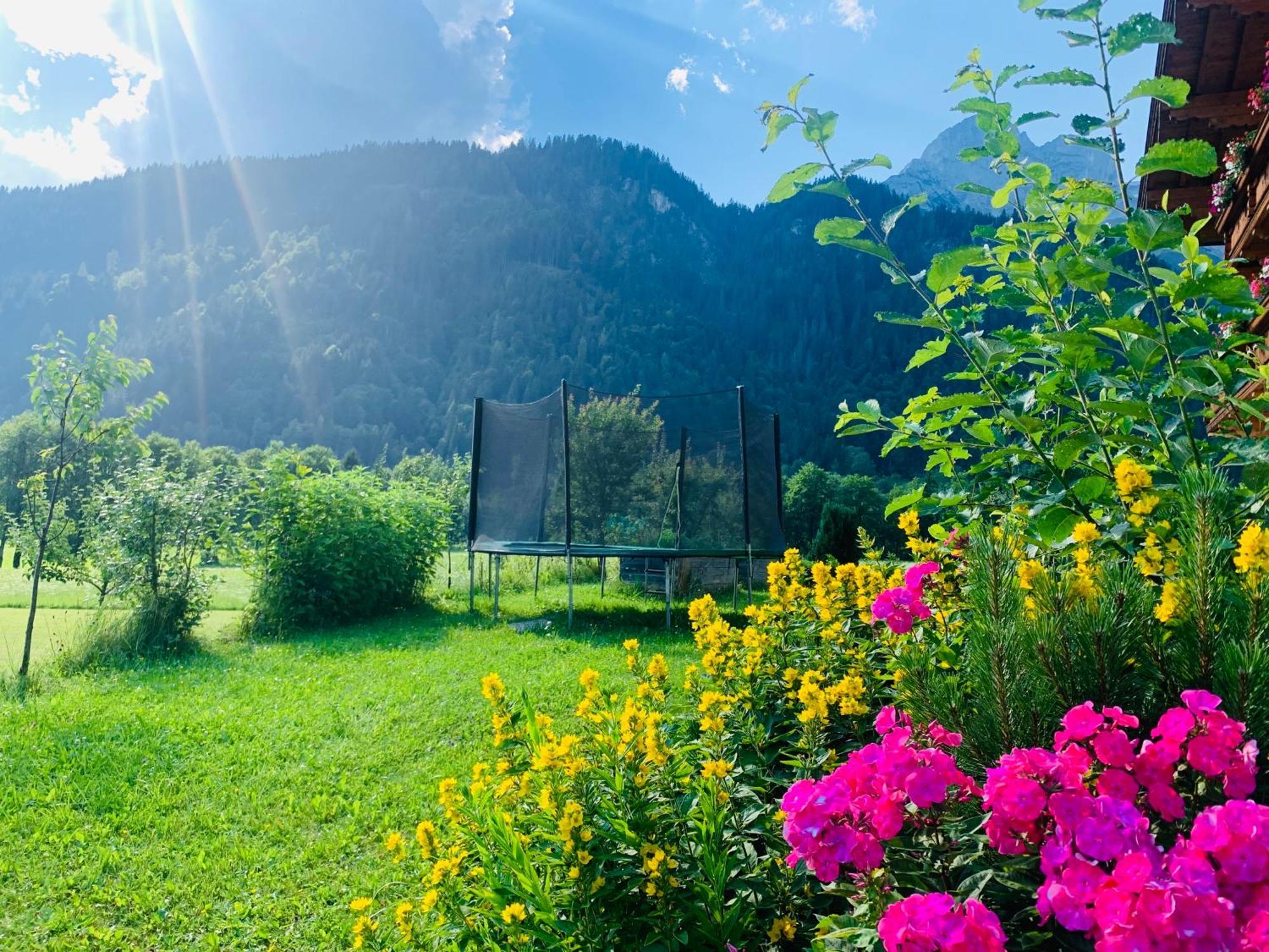 Alpen Appartements Oberlehengut ヴェルフェンヴェンク エクステリア 写真
