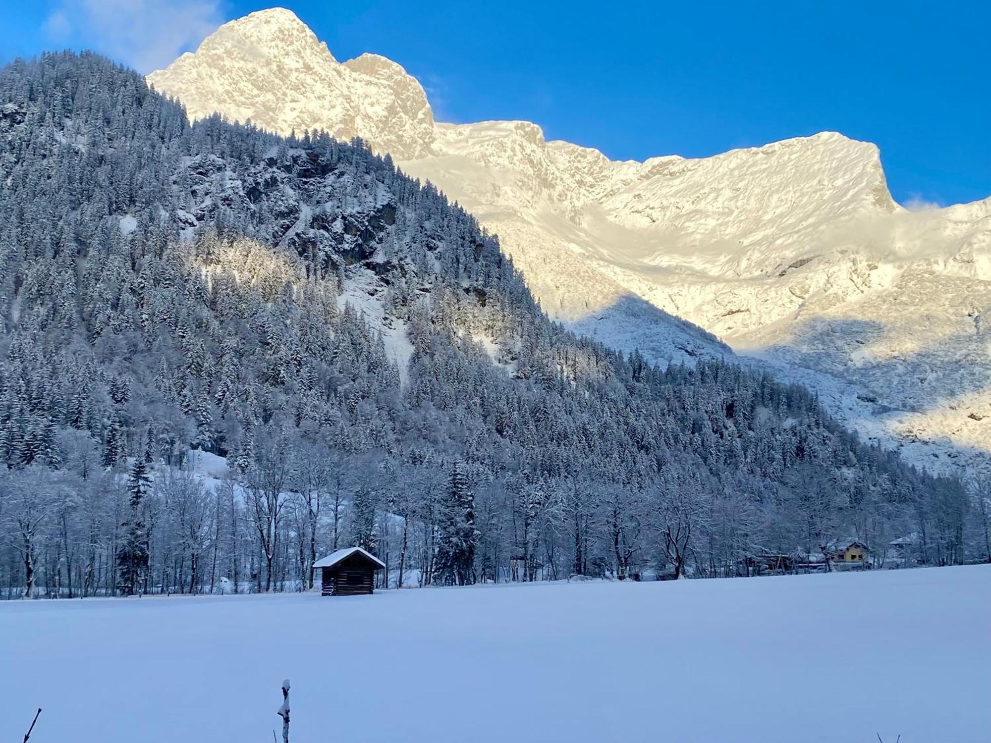Alpen Appartements Oberlehengut ヴェルフェンヴェンク エクステリア 写真