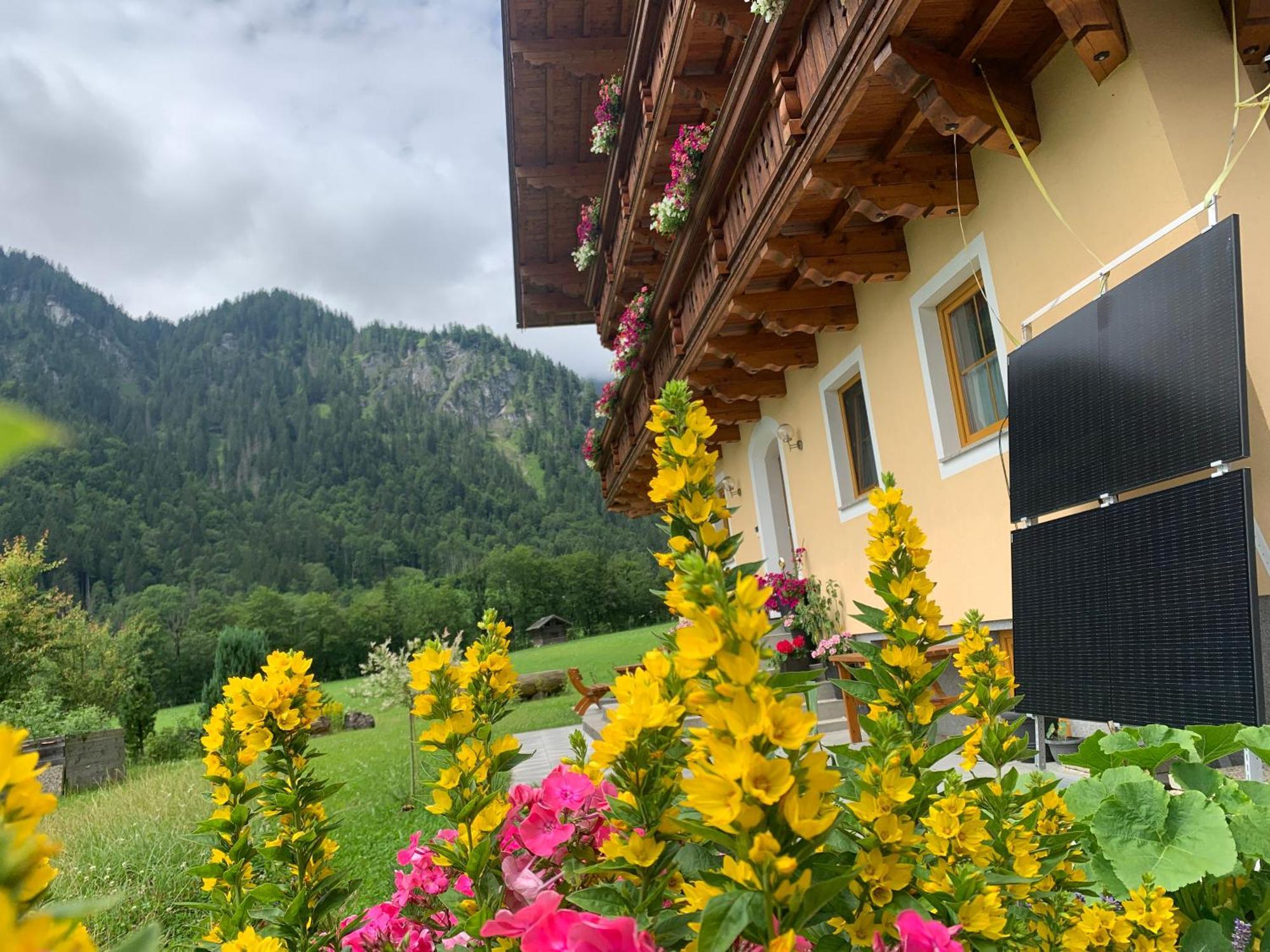 Alpen Appartements Oberlehengut ヴェルフェンヴェンク エクステリア 写真